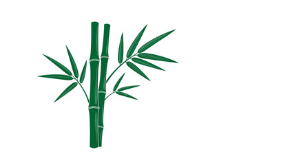 Obraz premium Zen-style vector illustration of a green bamboo plant with leaves and branches isolated on white background for Japanese nature garden decoration