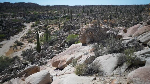 Explore the process of hiking to see ancient cave paintings in the Catavina desert of Baja California Mexico, featuring vast landscapes.