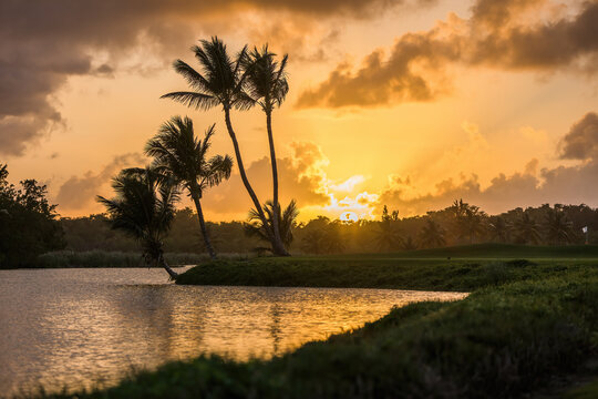 Golf course in the tropical island at sunset