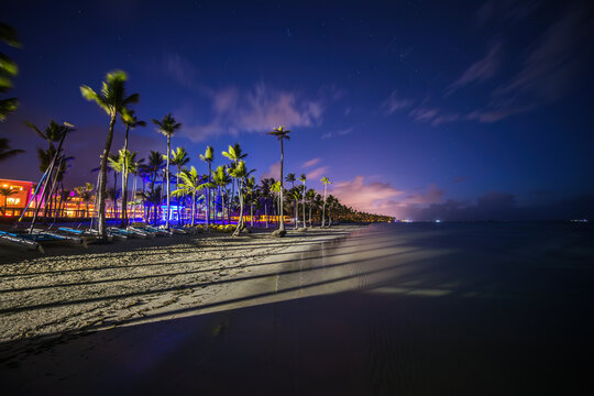 Coconut palm trees perspective view at night