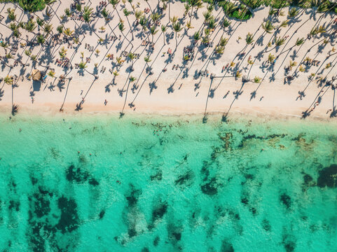Top down aerial drone view of a tropical beach with palm trees, clear turquoise ocean and sandy shoreline. Travel, vacation, resort and summer background concept
