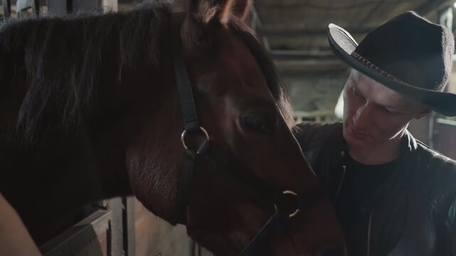 White man examining horse muzzle and flank in stall, attentive caretaker checking coat, halter and gentle stroking, focused inspection under dim barn light, tactile bond and professional calm