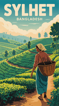 Tea plantation worker in sylhet bangladesh