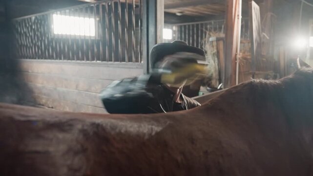 Rancher brushing horse in barn, energetic tandem education demo with sweeping brush motion and motion blur, practical handson instruction, sunlight through stalls, leather gloves and visible routine,