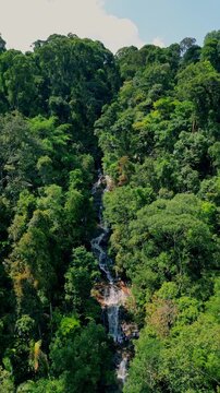 Aerial View of Kanching Eco Forest