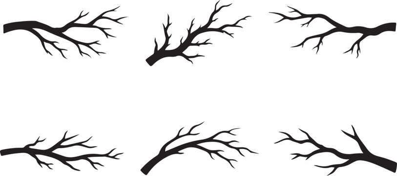 Black Bare Tree Branches Isolated on White Background