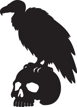 Black Vulture Perched on Skull Isolated on White Background