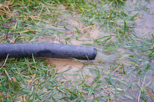 Dirty muddy water pouring from a hose onto a green lawn, Pumping out waste water using a black rubber hose in the garden