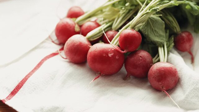 Close-up of a hand stacking and arranging fresh organic red radishes on a white towel, preparing for healthy salad at home, 4k.