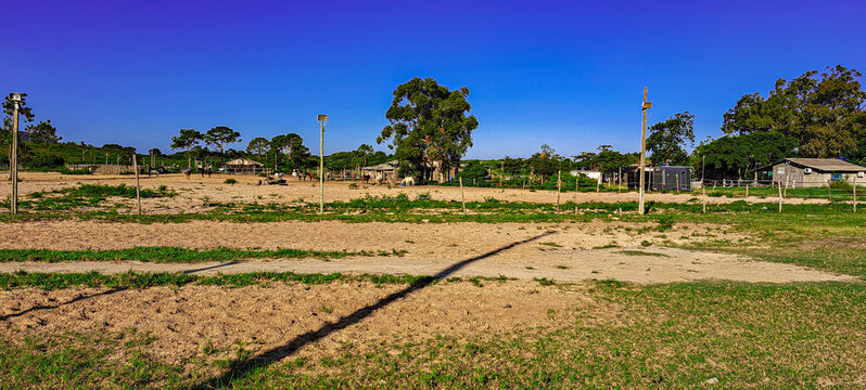 haras com cavalos
