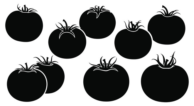 tomato shapes in black silhouette on white background high quality professional detailed modern elegant stylish clean crisp vibrant