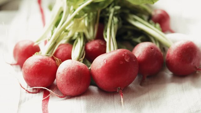 Close-up of fresh organic red radishes with green leaves on a white textile cloth, rustic kitchen still life, 4k.