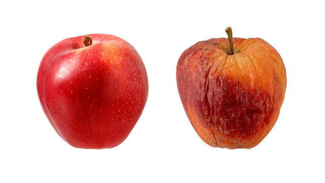Fresh ripe and slugish rotten red apple fruits isolated on white. Healthy diet and food waste concept. Life circle of apple fruit from fresh to rotten.