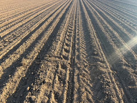 Ploughed and cultivated field, bare earth