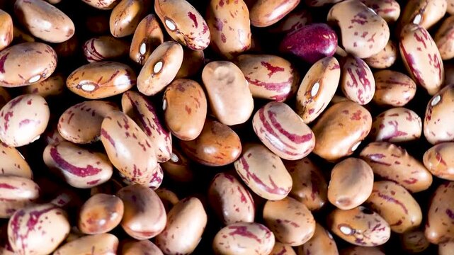 Rotating raw borlotti beans food background