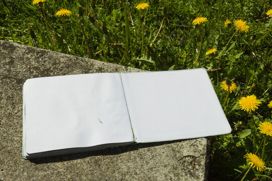 An open blank sketchbook lying on green grass with spring flowers and soft shadows. Eco friendly spring summer mockup of an open blank sketchbook with copy space for your design
