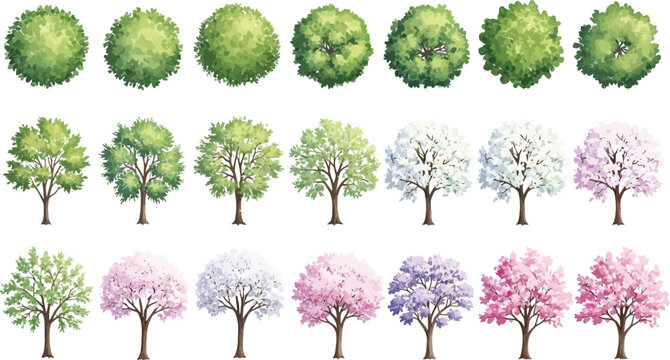 Set of various deciduous trees in top and side view isolated on white background vector illustration