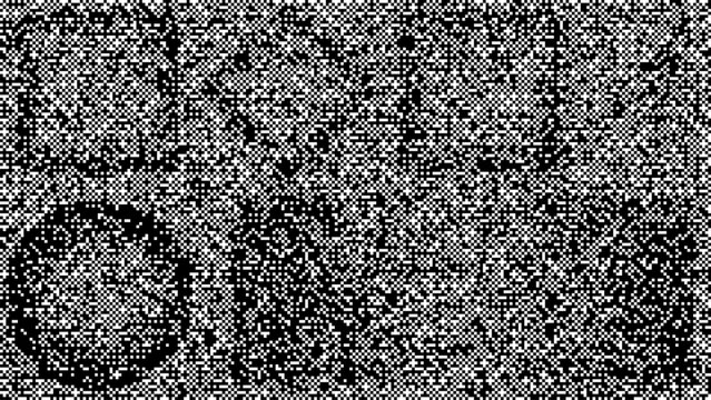 Geometric halftone circle pattern with black and white dots