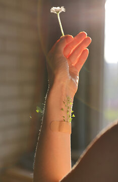 Self Compassion and Recovery Process Concept, Flower Growing from Bandage on female Hand