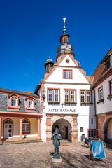 Obraz premium Altstadt, Erbach, Odenwald, Hessen, Deutschland 