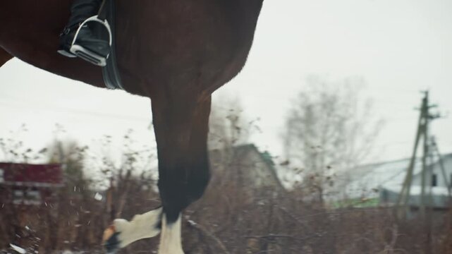 Rider trotting horse through village on snowy lane, brown horse with green saddle pad passes colorful rooftops rhythmic hoofbeats on frozen ground, rider in dark jacket guiding bridle, rustic houses