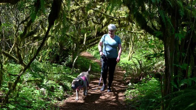 Woman walking with a dog down a woodland trail and ducking under low branches in Lewis Creek Park, recreation and exercise outdoors in nature
