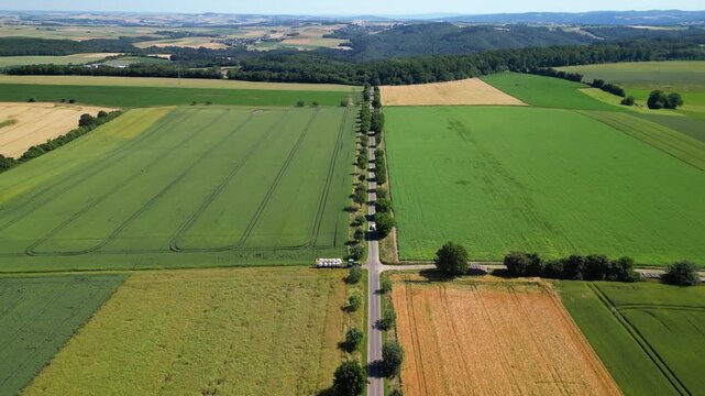 Flying over wheat fields in various stages