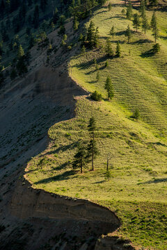 Canada, BC, Cache Creek.  Scalloped edge of green hillside in the BC Interior, Cariboo District.