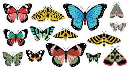 Obraz premium Colorful Butterfly, Moth, Insect Vector Icons, Set of 13, Nature Illustrations, Wildlife Graphics