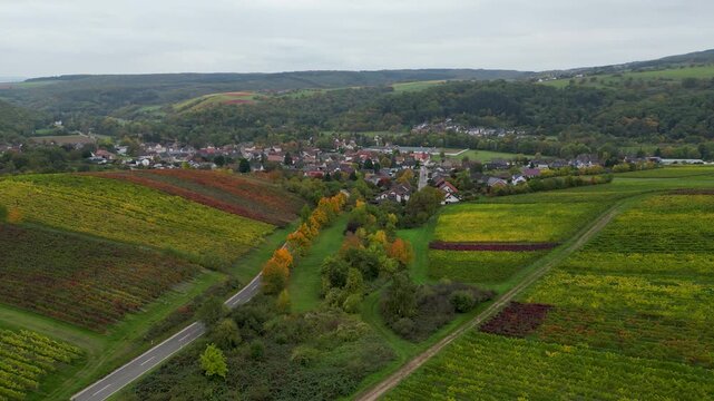 Flying over colorful grapevines next to a village in autumn