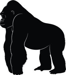 Obraz premium Bold Black Gorilla Silhouette Standing Side View With Powerful Build Isolated on White Background for Wildlife and Nature Design