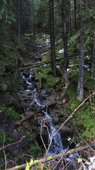 Morskie Oko, or Eye of the Sea, is the largest and fourth deepest lake in the Tatra Mountains in southern Poland. It is located deep in the Tatra National Park, in the Rybi Potok Valley © Andreia