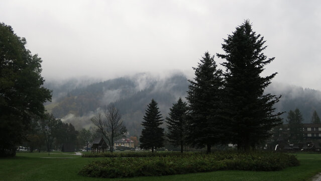 Zakopane, Poland. Dolna R&oacute;wień Krupowa  is the largest city park in Zakopane,Poland and has an area of ​​24 hectares. As the name suggests, it is a relatively flat area