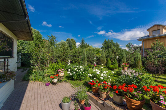 A garden filled with green plants and flowers is shown in a residential area. The sun is shining, trees provide shade, and bright blooms decorate the space