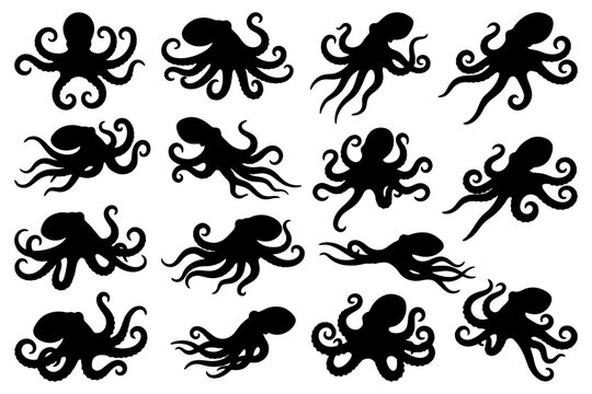 Silhouette set of various octopus designs displaying unique tentacle patterns.