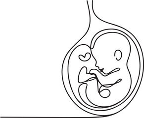 Obraz premium hand drawn fetus development illustration inside uterus medical sketch line art