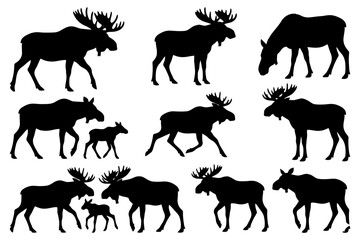 Fototapeta premium Silhouettes of moose in various poses and sizes against white background.