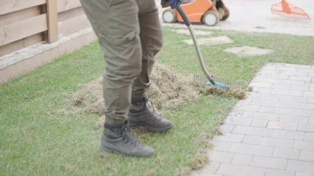Man raking a pile of dry grass and moss after scarifying a lawn in a private house backyard.