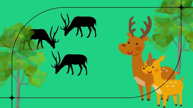 deer in the forest