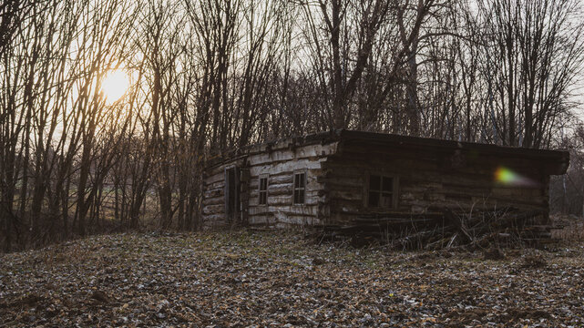 Abandoned log cabin at sunset among bare trees and fallen leaves