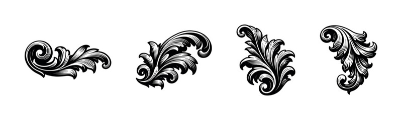 Fototapeta premium Elegant black and white ornament design, flourish botanical elements, vector illustration