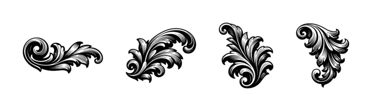 Elegant black and white ornament design, flourish botanical elements, vector illustration