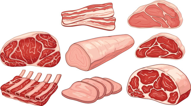 Illustrations of various meat cuts. Ribeye lamb pork bacon and beef steak cuts in a detailed and realistic style.