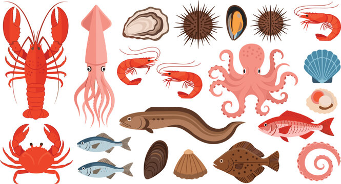 Vector illustrations of seafood and marine creatures including lobster, shrimp, octopus, squid, fish, oysters, and shellfish in cartoon style.