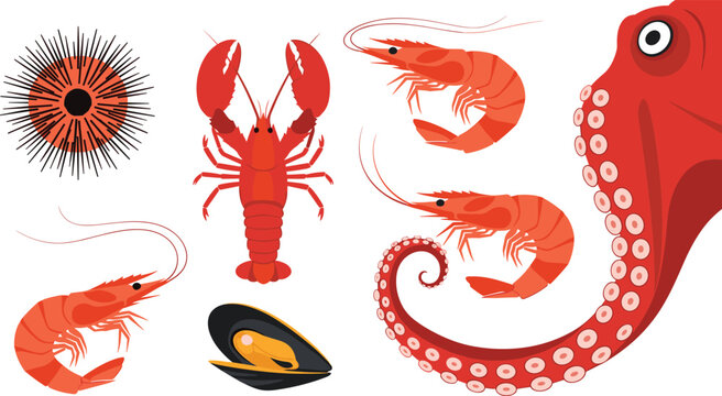 Vector illustrations of seafood items including shrimp, lobster, octopus, sea urchin, and mussels in a cartoon style.