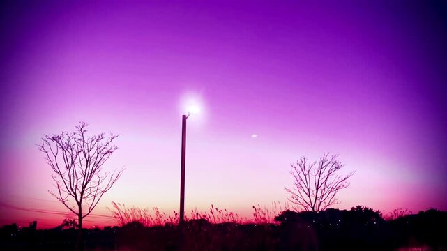 sunset in the park