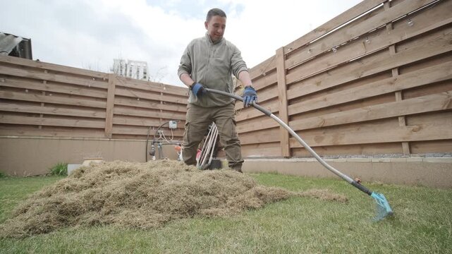 Man raking a pile of dry grass and moss after scarifying a lawn in a private house backyard.