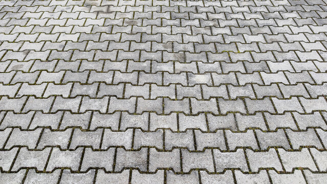 Interlocking gray concrete pavers forming a textured pavement pattern with moss growing in the gaps, creating a durable and functional outdoor surface for walking areas
