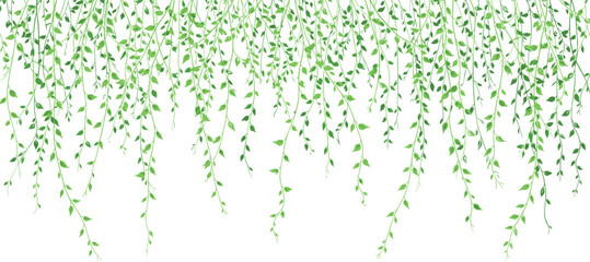 A lush horizontal border of hanging green vines and delicate leaves in a watercolor style, perfect for nature-themed digital design backgrounds. © Mehedi