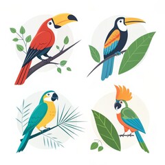 Fototapeta premium Illustration of four different tropical birds perched on branches with leaves around them